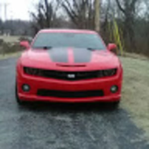 Meet your Posher, Larry